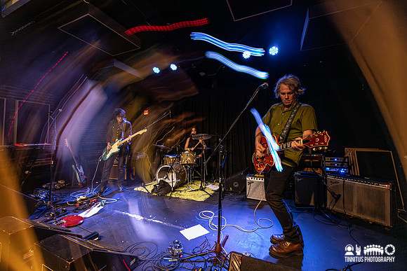 Lupo Citta in concert