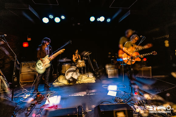 Lupo Citta in concert