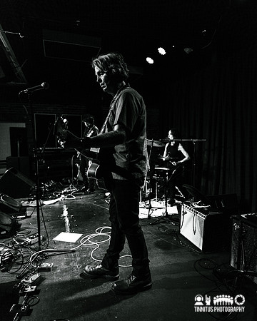 Lupo Citta in concert