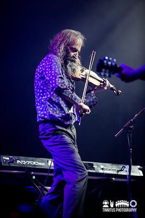 The Dirty Three in concert at ATP's I'll Be Your Mirror festival