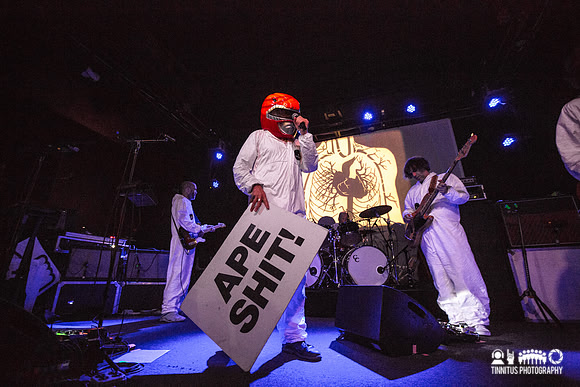 Super Furry Animals in concert