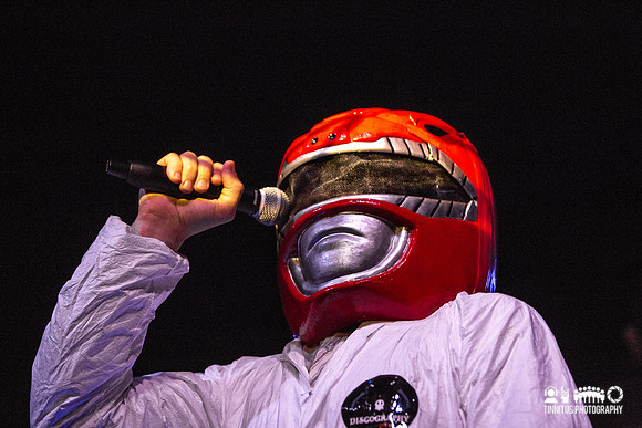 Super Furry Animals in concert