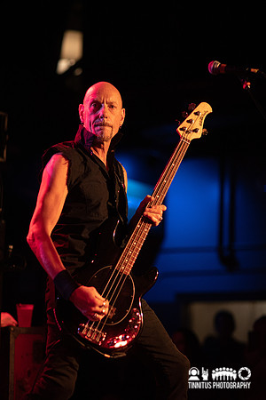 Stiff Little Fingers in concert