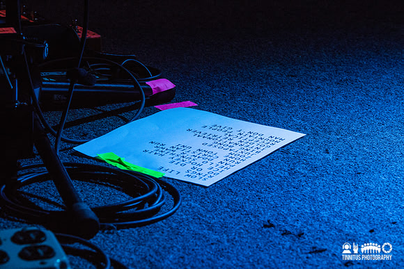 Super Furry Animals in concert
