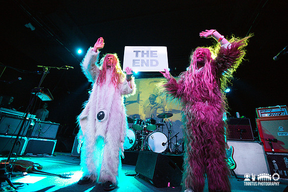 Super Furry Animals in concert