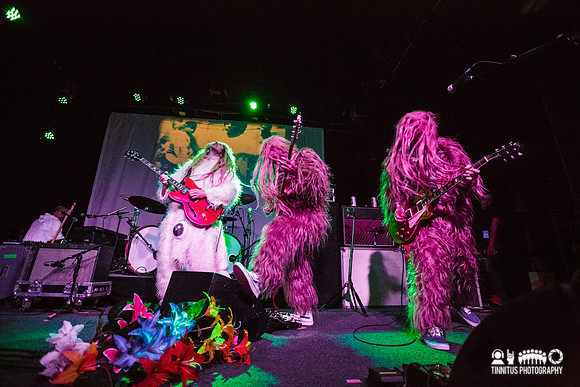 Super Furry Animals in concert