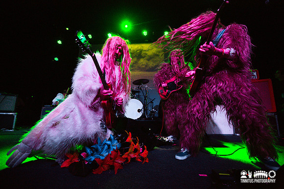 Super Furry Animals in concert