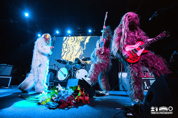 Super Furry Animals in concert
