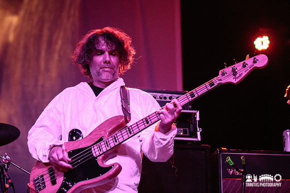 Super Furry Animals in concert