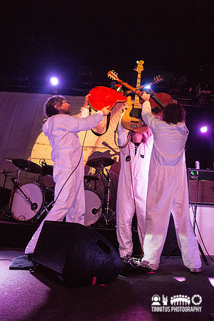 Super Furry Animals in concert