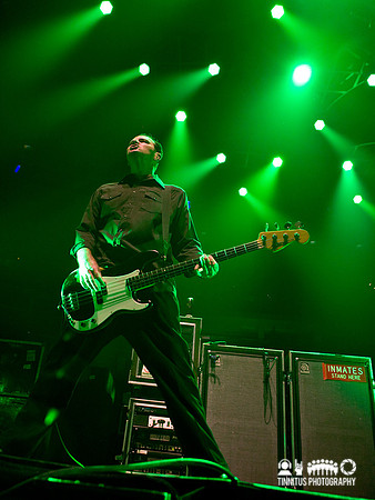 Social Distortion in concert