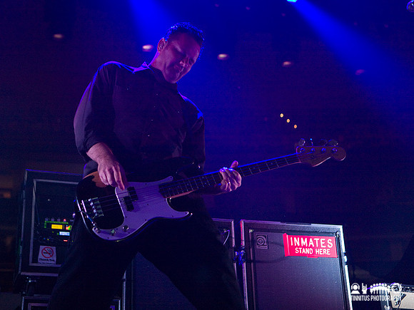 Social Distortion in concert