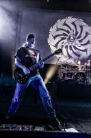 Soundgarden in concert