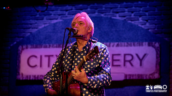 Robyn Hitchcock in concert