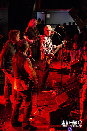 Robyn Hitchcock in concert