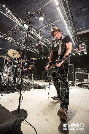 Shellac in concert