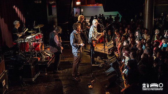 Robyn Hitchcock in concert