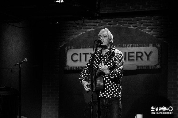 Robyn Hitchcock in concert