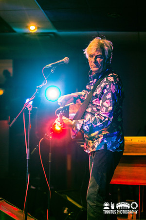 Robyn Hitchcock in concert