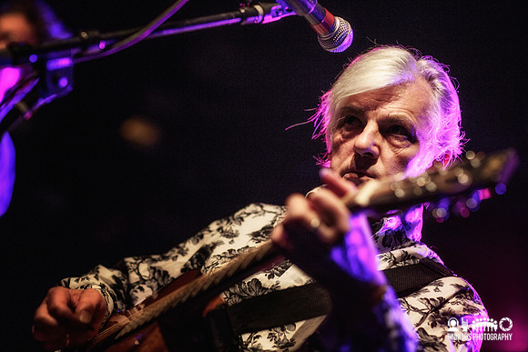 Robyn Hitchcock in concert