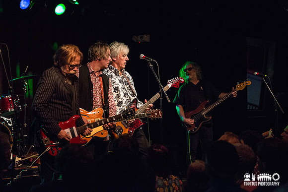 Robyn Hitchcock in concert
