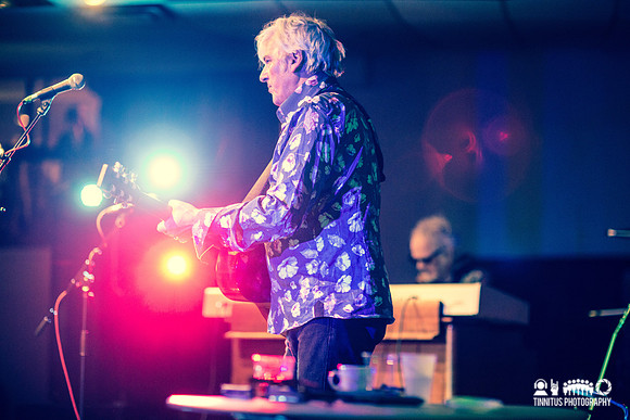 Robyn Hitchcock in concert