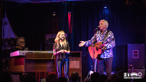 Robyn Hitchcock in concert