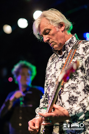 Robyn Hitchcock in concert