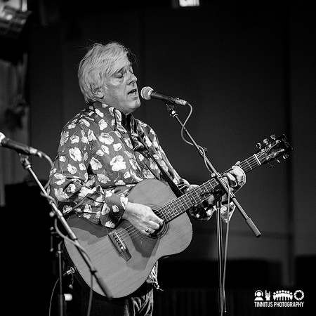 Robyn Hitchcock in concert