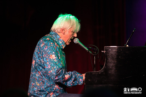 Robyn Hitchcock in concert