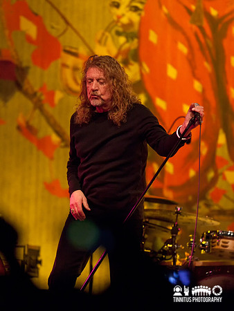 Robert Plant in concert