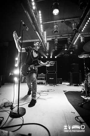 Shellac in concert