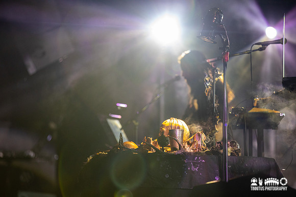 Wolvennest in concert
