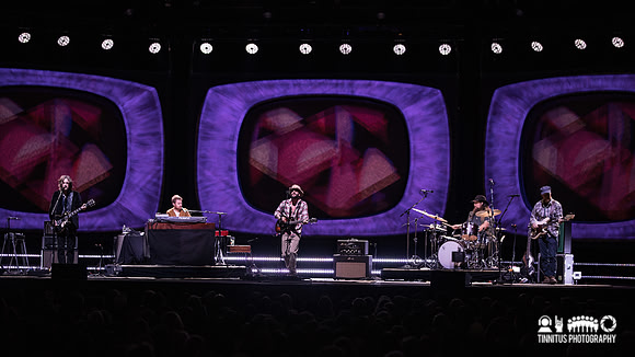 Ray LaMontagne in concert