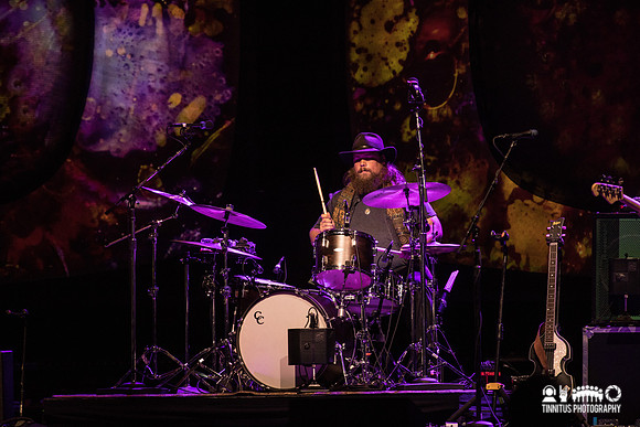 Ray LaMontagne in concert