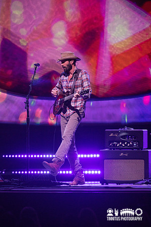 Ray LaMontagne in concert
