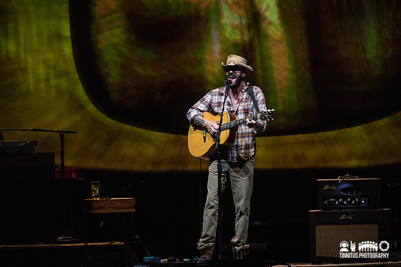 Ray LaMontagne in concert