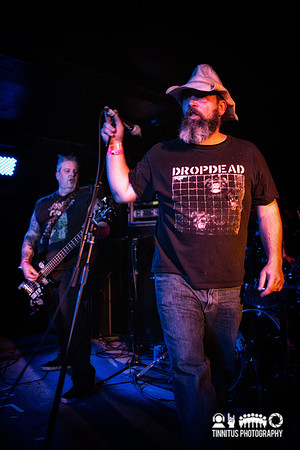 Primate in concert