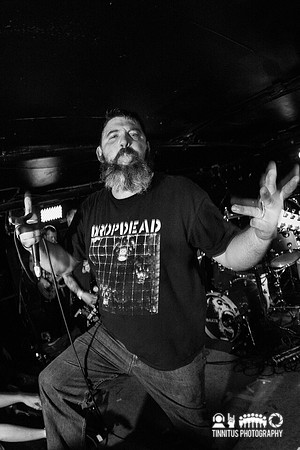 Primate in concert
