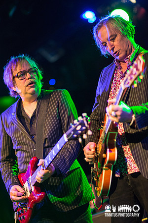 Peter Buck in concert