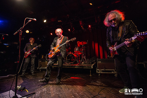 Peter Buck in concert