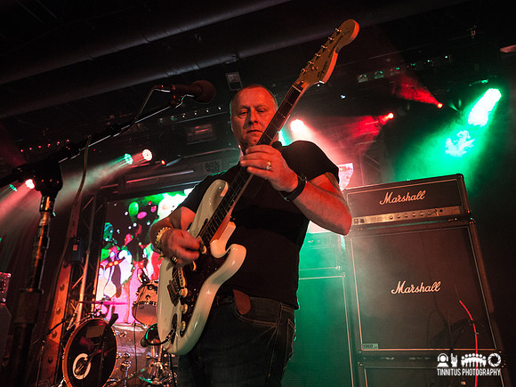 Sons of Otis in concert