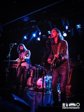 Paul & The Tall Trees in concert