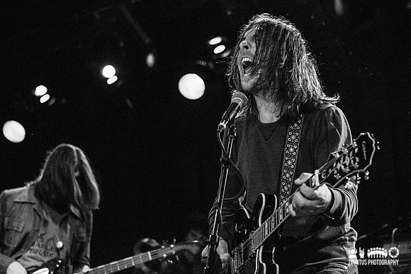 Paul & The Tall Trees in concert