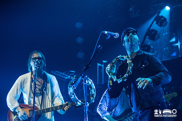 Brian Jonestown Massacre in concert