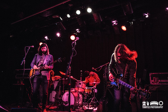 Paul & The Tall Trees in concert
