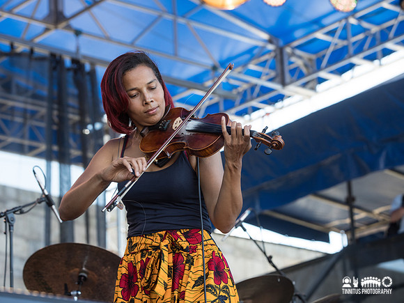 Rhiannon Giddens in concert