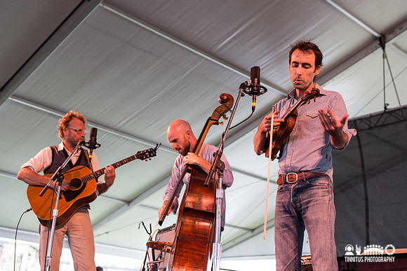 Andrew Bird in concert