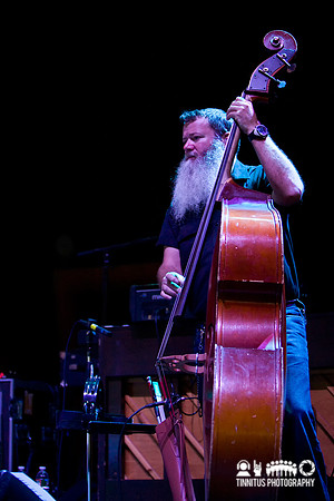 Neko Case in concert
