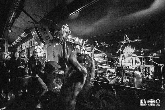 Naðra in concert